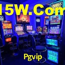 Explore as vantagens do Pgvip: serviço profissional e confiabilidade